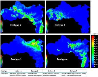 Ecological niche modelling as a tool to identify candidate indigenous chicken ecotypes of Tigray (Ethiopia)